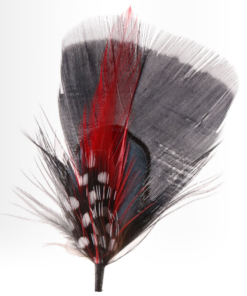 Hat Feather one H